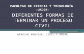 Diferentes Formas de Terminar Un Proceso Civil ARGENTINA