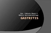 Gastritis Expo