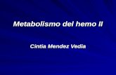 Metabolismo de la Hemoglobina II