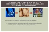 Diapositiva de Quimica de La Madera