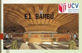El Bambú Expo