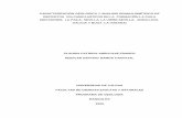 Caracterizacion Geologica y Analisis Granulometricos de Depositos Volcaniclasticos de La Fm La Paila