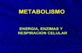 Energía ,Enzimas ....Metabbolismo,-. Celular