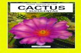 Cactus y otras suculentas.pdf