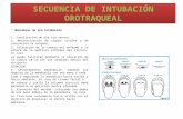 Secuencia de Intubación Orotraqueal