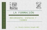 3 LA FORMACIÓN 2007.ppt