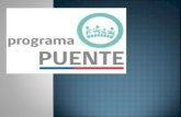 Programa Puente de Chile