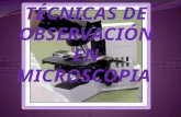 Técnicas de Observación en Microscopia