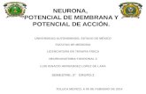Receptores Perfericos, Circuitos Neuronales , Sensaciones Somaticas