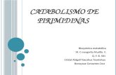 Catabolismo de Pirimidinas (1)