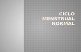 Ciclo Menstrual Normal (1)