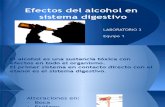 Efectos Del Alcoholismo en Sistema Gastrointestinal
