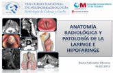 Anatomia Radiologica y Patologia de La Laringe e Hipofaringe