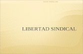1 Libertad Sindical Generalidades