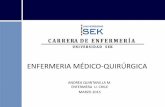 1.Presentación Asignatura Médico Quirúrgica2015.PptOK