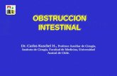 7. Obstruccion Intestinal