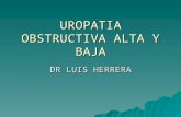 Uropatia Obstructiva Alta y Baja