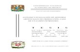 ANÁLISIS Y EVALUACIÓN DE SISTEMAS ARTIFICIALES DE PRODUCCIÓN, CASO DE UN CAMPO PETROLERO.