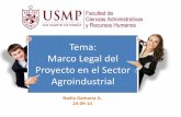 Marco Legal Sector Agroindustrial