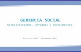 Nora Gerencia Social (1)