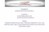 CARACTERÍSTICAS DEL FINANCIAMIENTO DE LAS MYPES DEL SECTOR.pdf