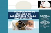 Seminario Biofarmacia Animales de Laboratorio