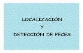 Deteccion Peces