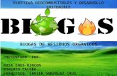biogas de residuos organicos