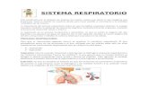 Sistema Respiratorio - Informe