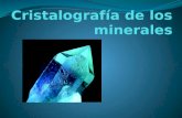 La Mineralogia