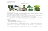 5 ProducciÃ³n de biomasa fotosintetizante