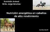 Nutrición Energética en Caballos de Alto Rendimiento