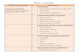 Contenidos y Objetivos de Medicina Interna 2013