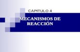 Cap. 4- Mecanismos de Reaccion