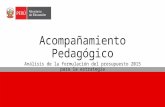 PRESENTACION ACOMPAÑAMIENTO PEDAGOGICO 05122014.pptx