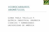 HIDROCARBUROS AROMÁTICOS.ppt
