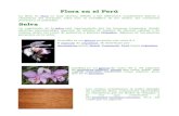 Flora en el Perú.doc