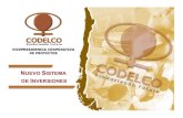 Nuevo sistema de inversiones de codelco