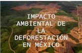 Presentacion: Impacto Ambiental de La Deforestacion en México