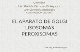 Clase 07 - BioCel AGolgi y Lisosomas