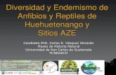 Diversidad y Endemismo de Anfibios y Reptiles de (1)