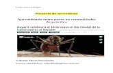 Lucha Contra El Dengueejemplosmexicanos