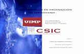 TFM-Caballero Manuel-Tres Métodos de Producción de H2