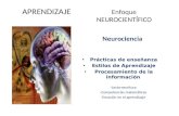 1. Neurociencias