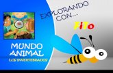 Mundo Animal: Invertebrados