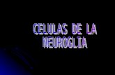 Celulas de La Neuroglia (2) (1)