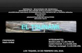 desastres naturales El Tsunami