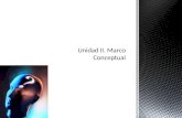 Unidad II. Marco Conceptual