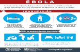 Ebola Infografia OMS Español