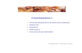 Panaderia Curso i - Wendoly Lopez - Mavira